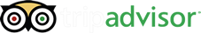 Tripadvisor Icon